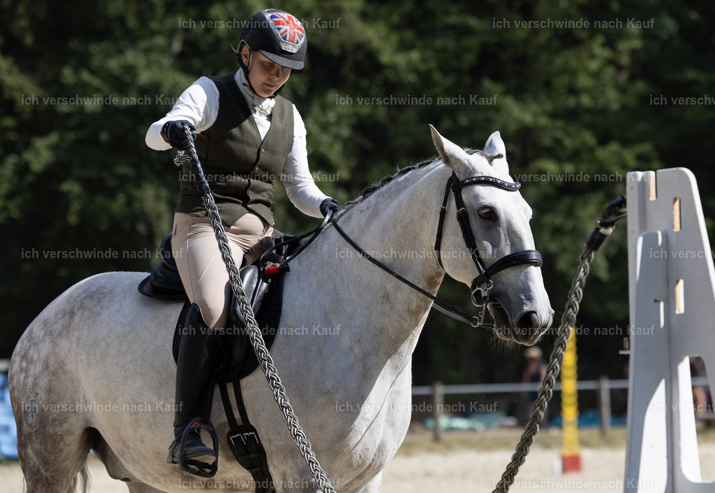 WS_SPEED_87_KerstinBernhardt-8 | working equitationturnier fotograf videograf stoibphotography marixx film working equitation deutschland reitsport turnierfotografie eventfotografie equestrian events