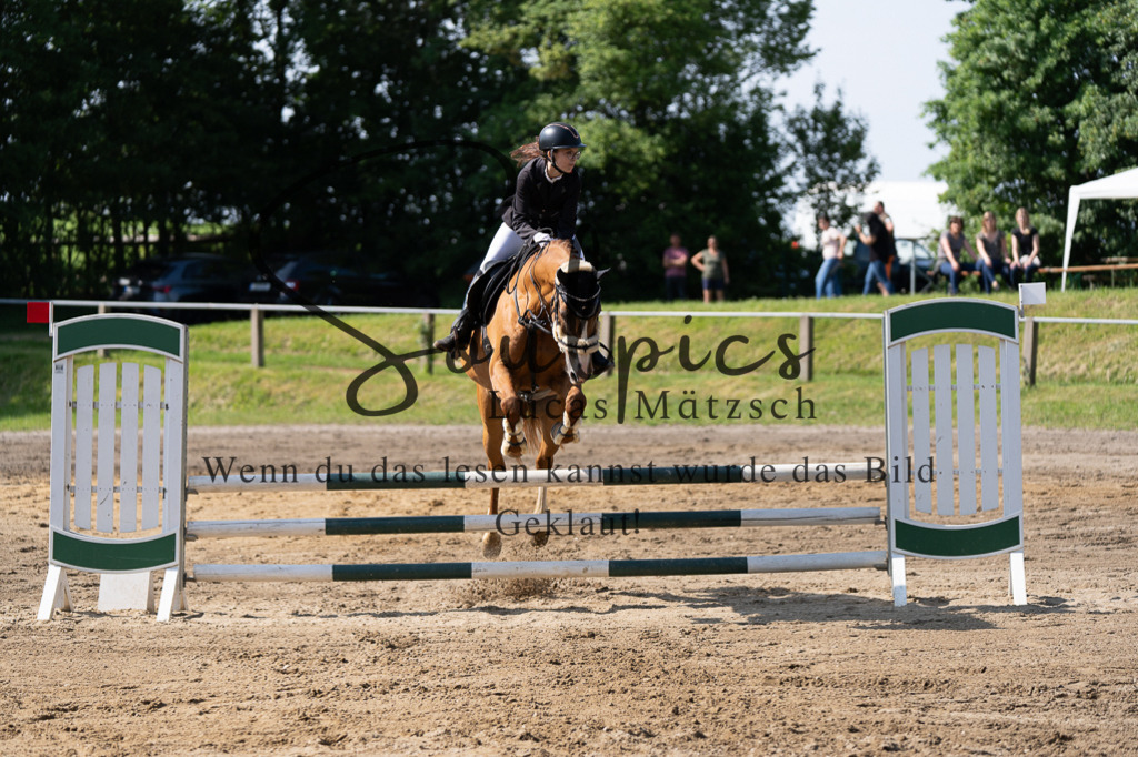 A7507337 | Turnier/Reitfotograf