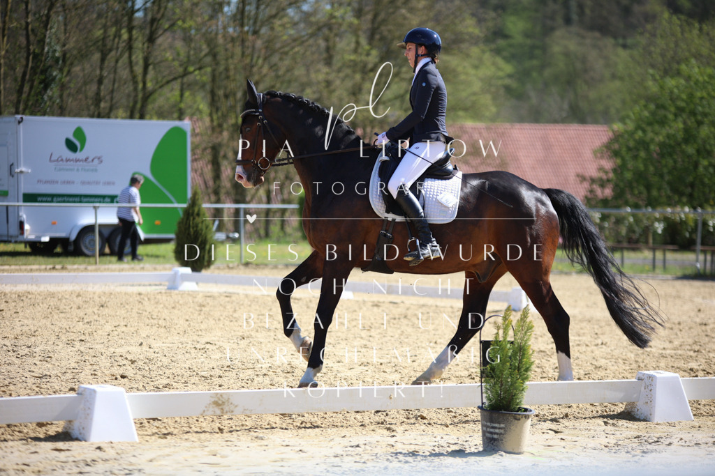 IMGT8461 | pl-fotografie