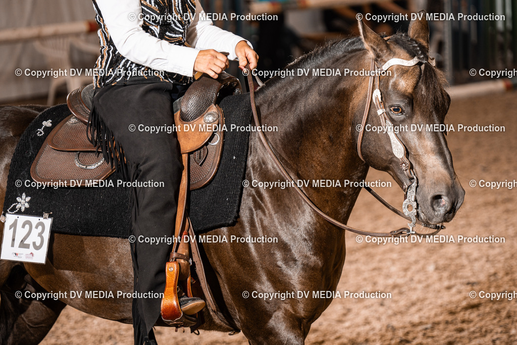 ZH300418 | dv-media-shop - Realisiert mit Pictrs.com