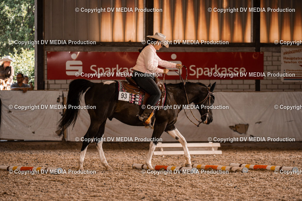 ZH300479 | dv-media-shop - Realisiert mit Pictrs.com