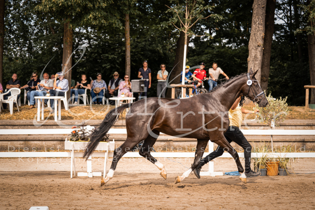 7.Fr00081 | Leoni Ertmer Photography - Realisiert mit Pictrs.com