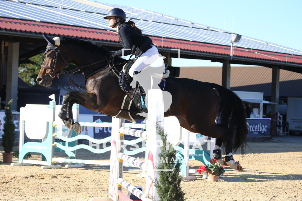 DL2Q4305 | Willkommen bei Brunnmayr - Design & Fotografie – Ihrem Spezialisten für Reitturniere und Pferdeveranstaltungen in Oberösterreich, Salzburg und Bayern! Seit über 17 Jahren sind wir leidenschaftlich dabei.