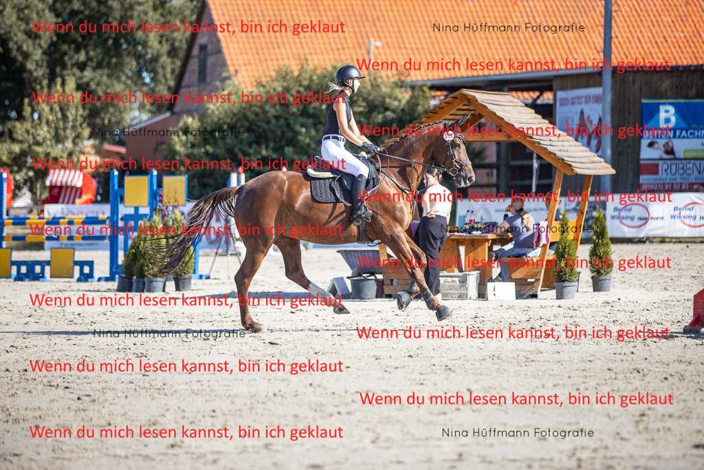 BK1A7291 | Turnierbilder Turnierfotos Nina Hüffmann Turnierfotografie Pferdefotografie Tierzeichnung Haustierzeichnung Pferdezeichnung Hundezeichnung Videograf  - Realisiert mit Pictrs.com
