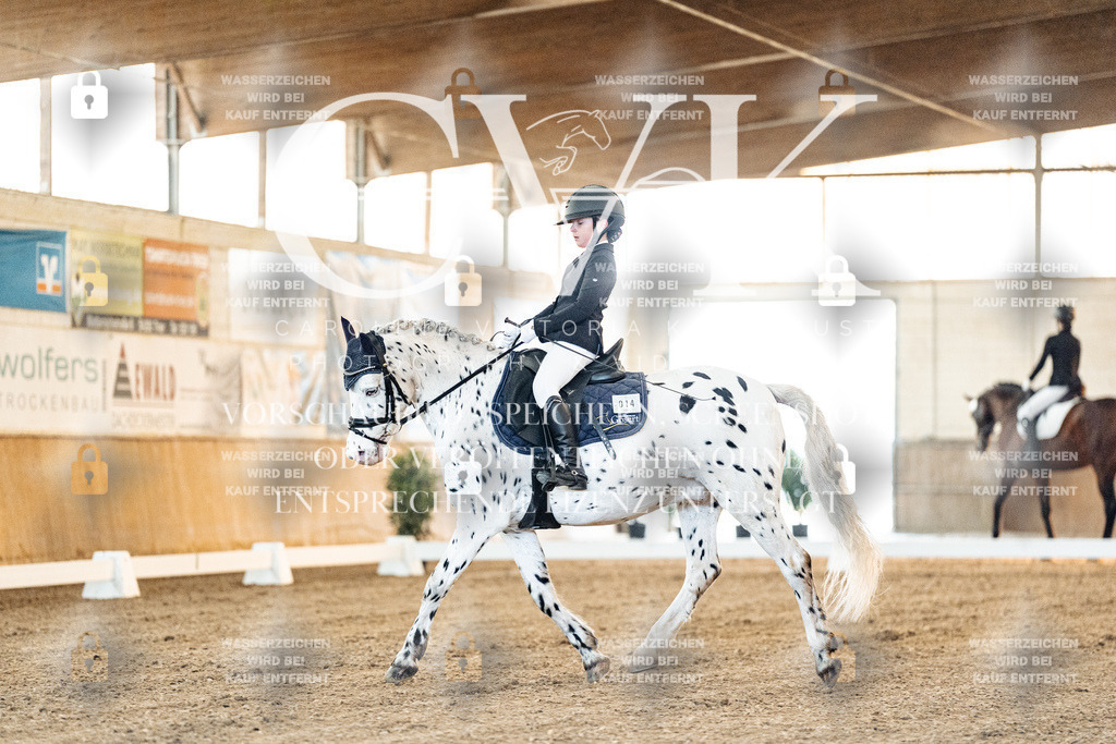 CK906435 | Turnierfotografie Pferdefotografie Trier Rheinland-Pfalz Pferdesport Reitsport Tierfotografie Sportfotografie Pferdevideo Pferdevideografie Equestrianvideography equestrianphotography  - Realisiert mit Pictrs.com