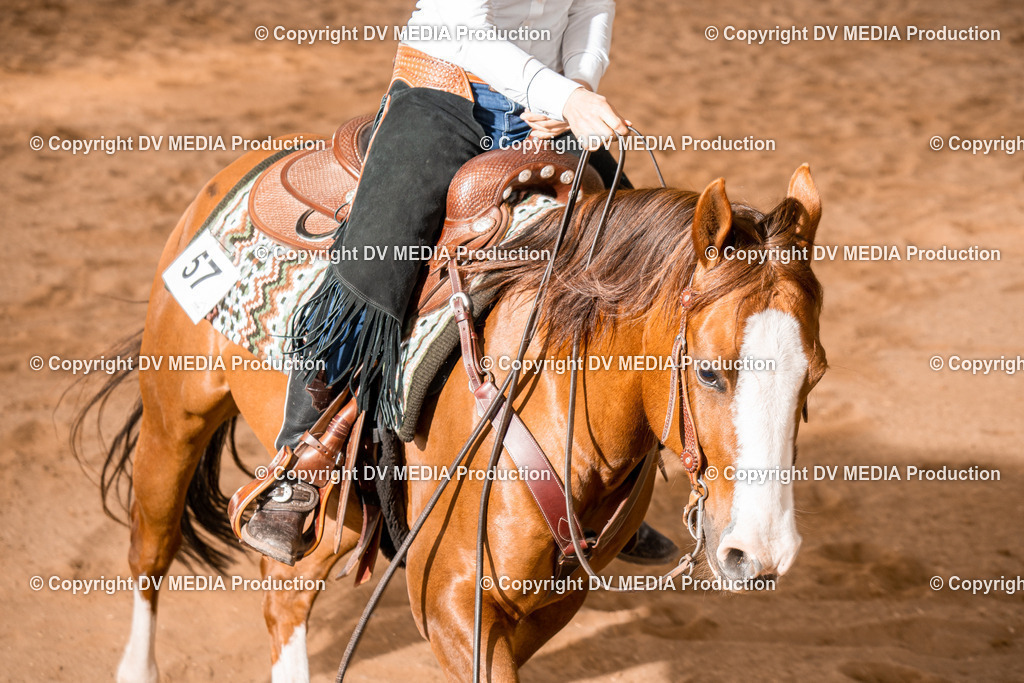 BA400817 | dv-media-shop - Realisiert mit Pictrs.com