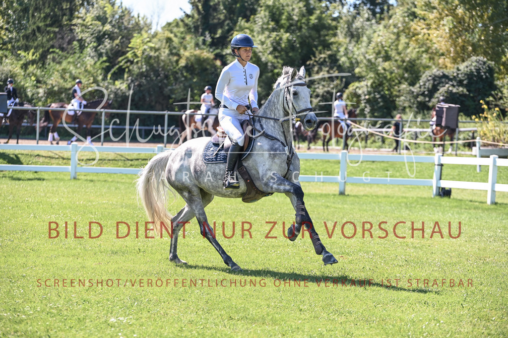 Schugtsche-Düren.2024.03-Springpferde.L-5 | Schugtsche Fotografie - Realisiert mit Pictrs.com