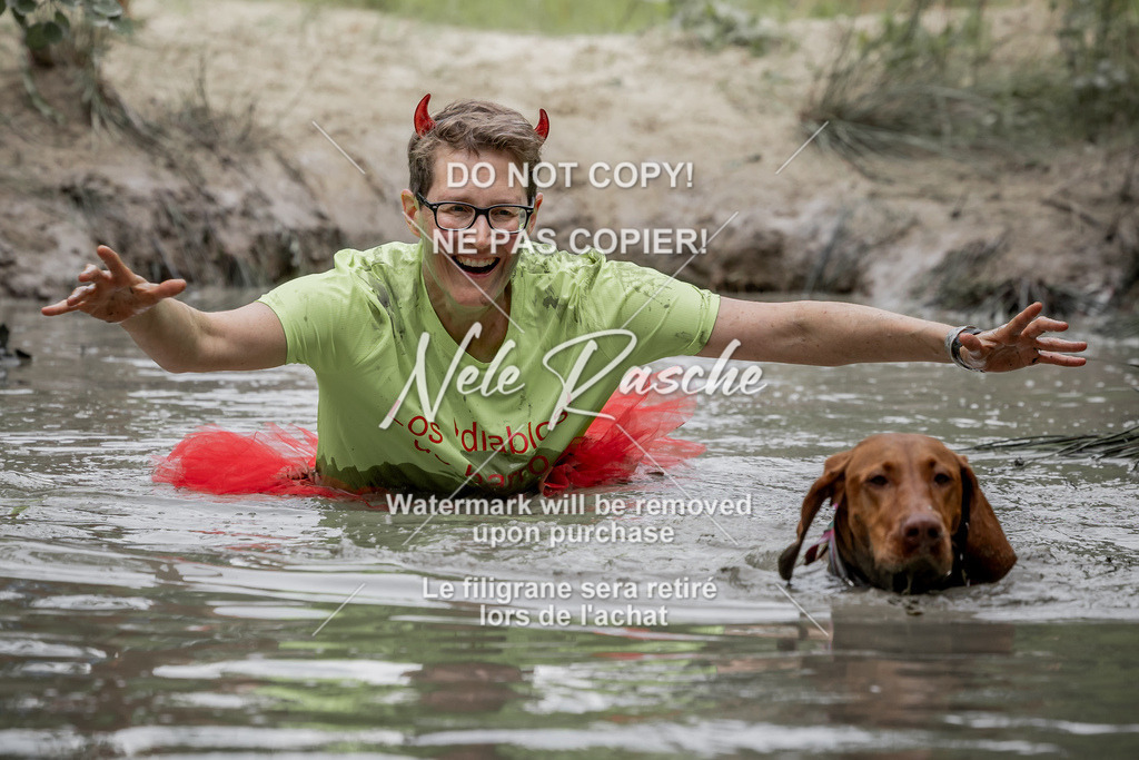 nelerasche_so1445-1515_289 | nelerasche