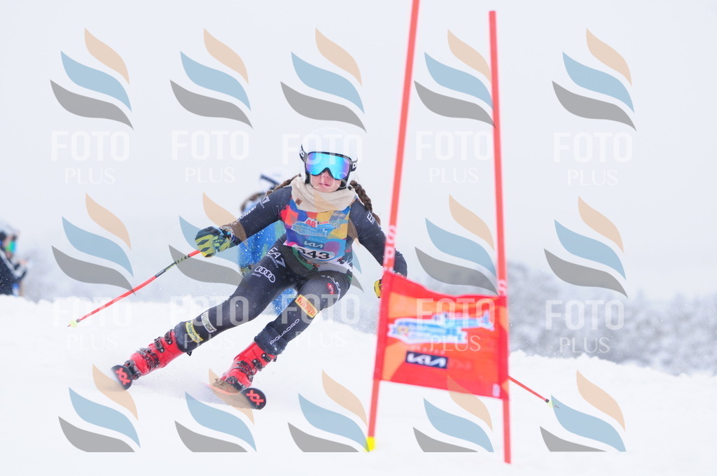 C3676 | holidayphoto