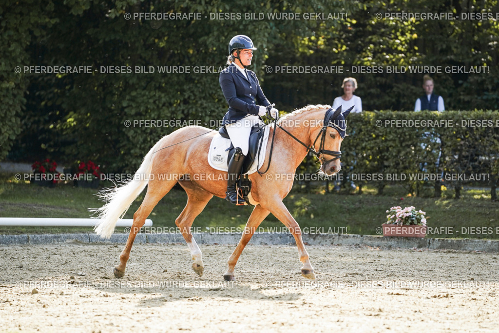 DSC05676 | Pferdegrafie