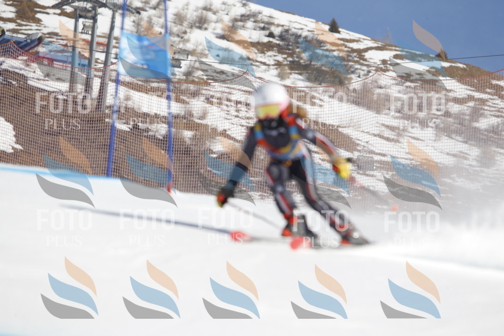 _U3G8584 | holidayphoto