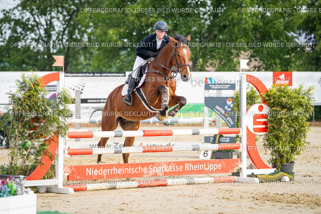 DSC08944 | Pferdegrafie