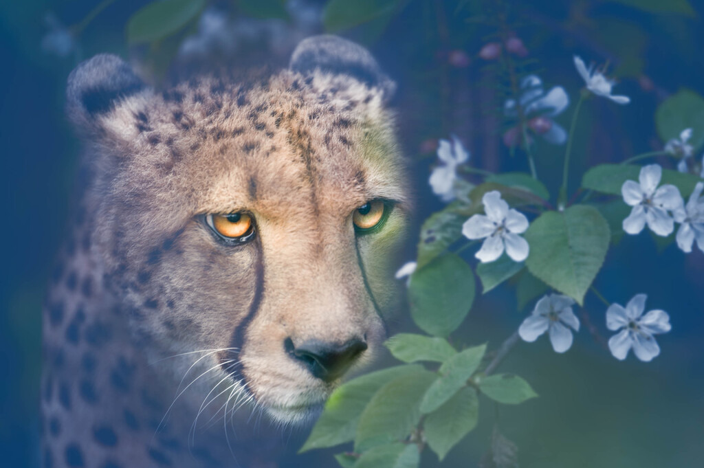 Safariland Stukenbrock, Deutschland | Die schönsten Bilder für Ihre Räume online bestellen! In unseren Bildergalerien findet Sie alles was es für Ihre Räume braucht. Lassen Sie sich überraschen ☺️ - Realisiert mit Pictrs.com