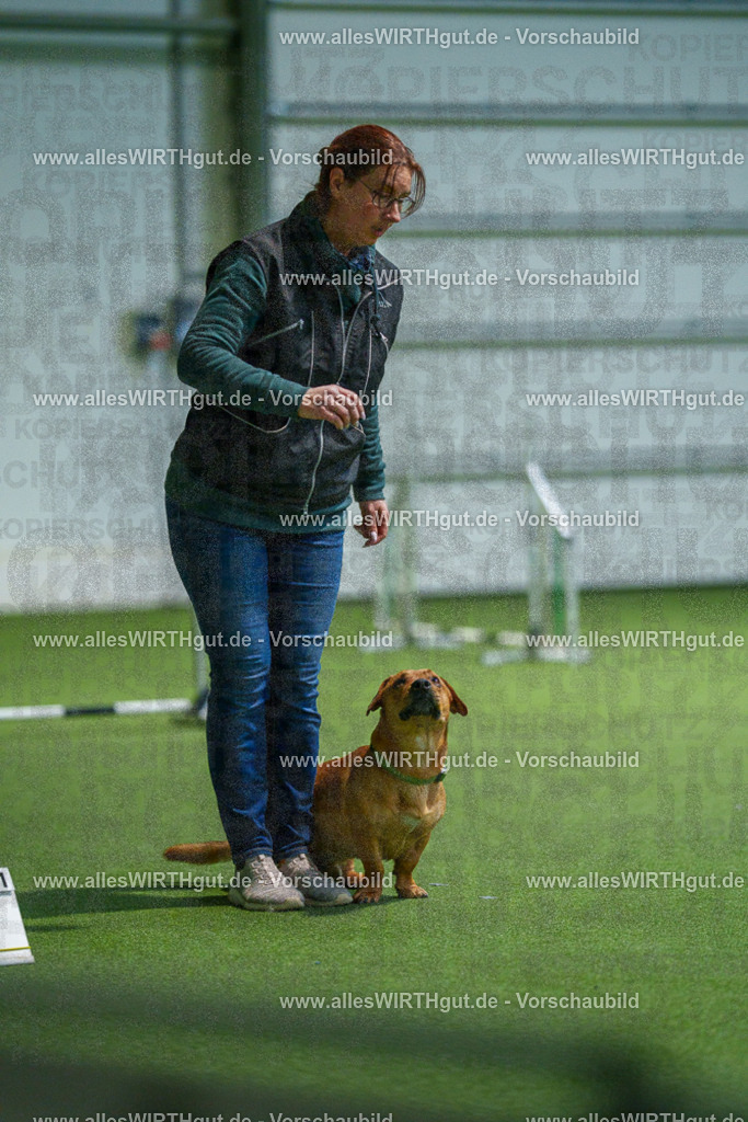 7R507206 | Professionelle Tierfotografie in Mönchengladbach von Daniel Wirth (allesWIRTHgut). Liebevolle & natürliche Bilder von Hunden & Katzen für unvergessliche Erinnerungen.