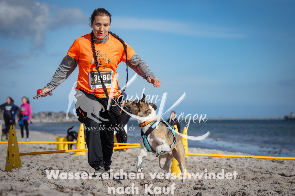 1340_ZZ92531 | kk-dogfotos