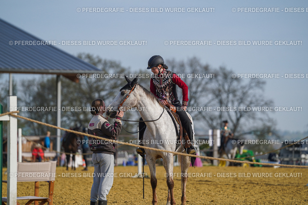 DSC00879 | Pferdegrafie