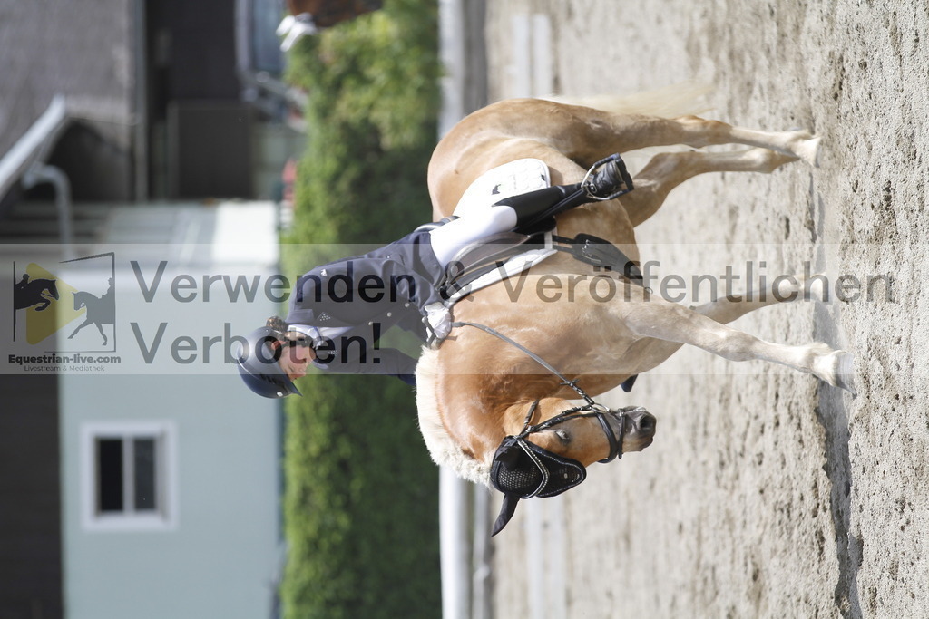 _MG_8595 | equestrian-live-com
