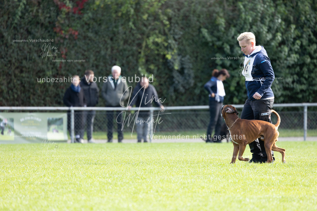 _16A6790 | Einzigartige Fotos von Hunden & Menschen –Actionfotos, Portraits, Vereinsaufnahmen & Paarshootings – authentisch, lebendig & mit Herz.