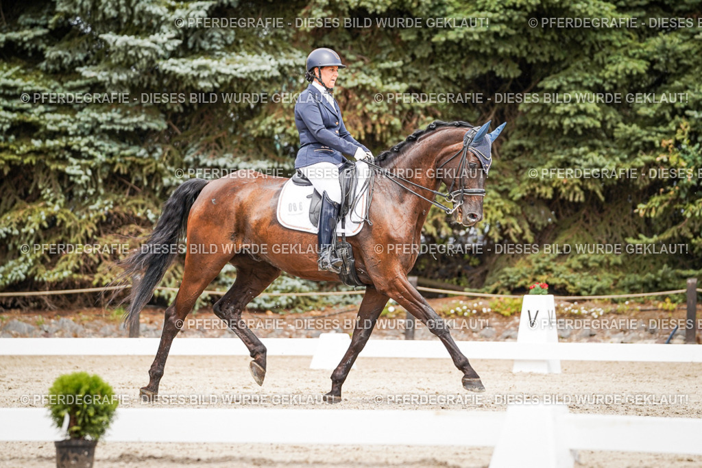 DSC05481 | Pferdegrafie