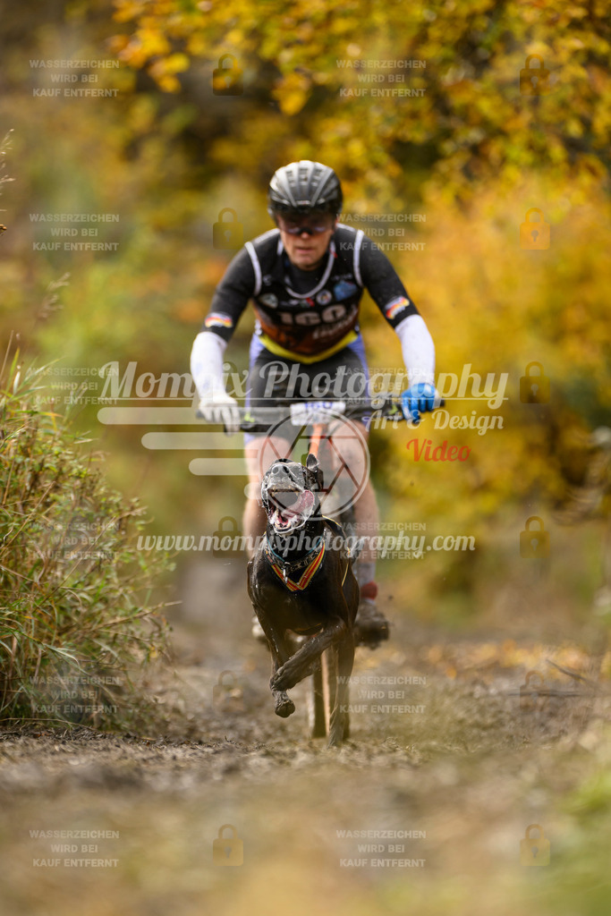 MompixPhotography_ICF_WC_2024_SA_Bike_-199 | PayLife