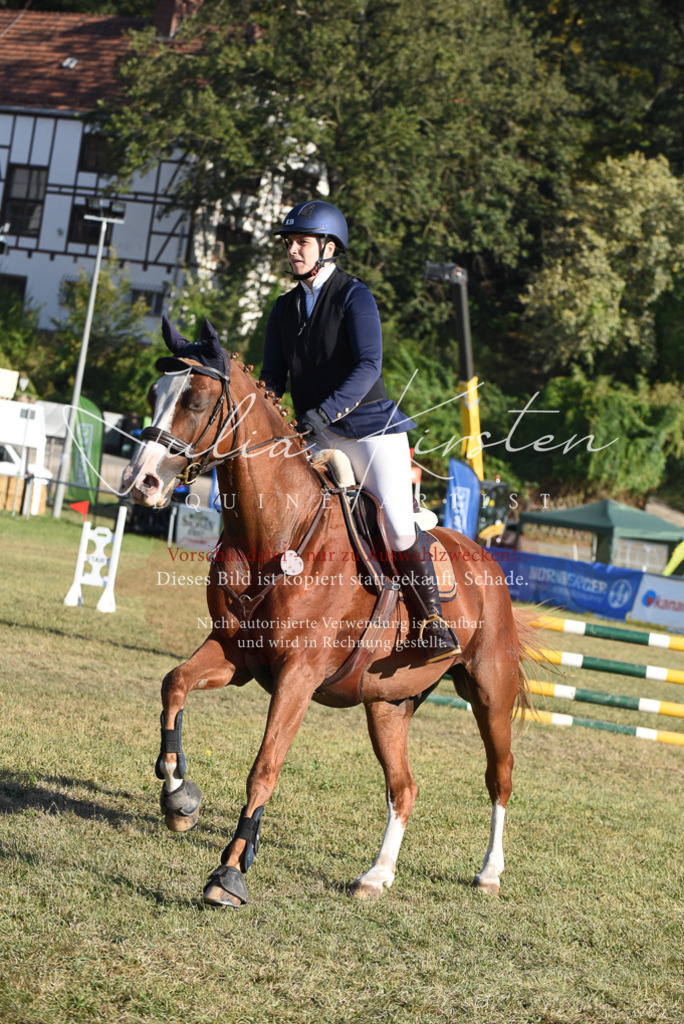 DSC_5156 | Pferde- und Turnierfotografie in Westsachsen. Pferdeportraits, Auftragszeichnungen und intuitive Kunst.