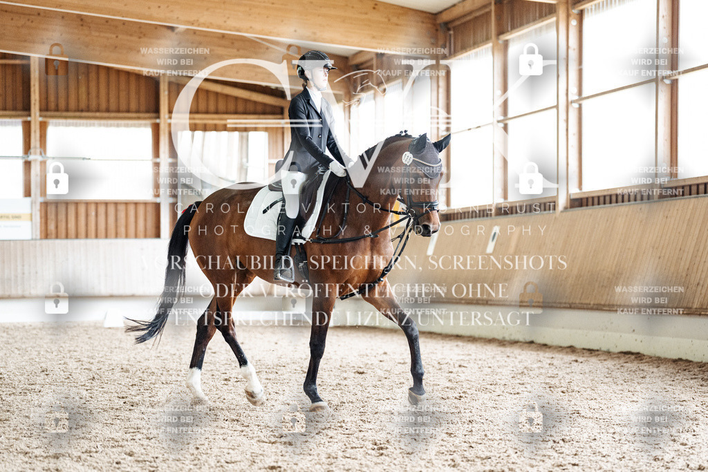 CK900684 | Turnierfotografie Pferdefotografie Trier Rheinland-Pfalz Pferdesport Reitsport Tierfotografie Sportfotografie Pferdevideo Pferdevideografie Equestrianvideography equestrianphotography  - Realisiert mit Pictrs.com