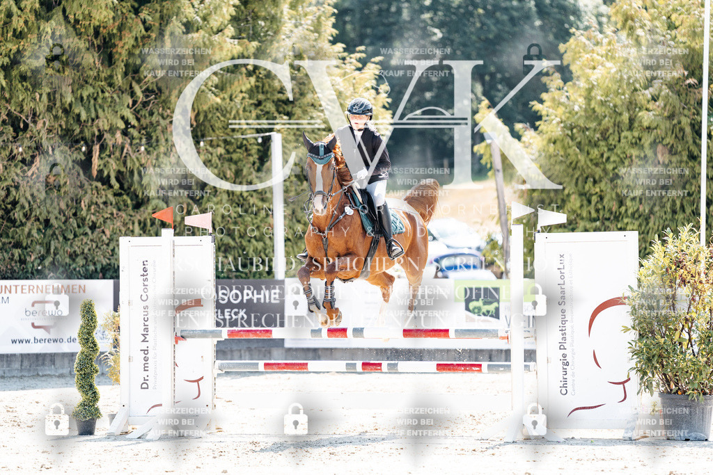 CK909366 | Turnierfotografie Pferdefotografie Trier Rheinland-Pfalz Pferdesport Reitsport Tierfotografie Sportfotografie Pferdevideo Pferdevideografie Equestrianvideography equestrianphotography  - Realisiert mit Pictrs.com