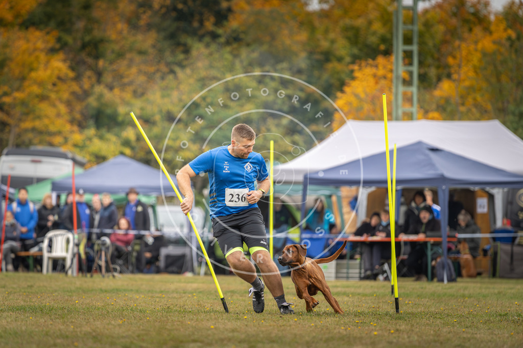 Pfotenfotografie_DV3A5239 | Hundefotografie, Tierfotograf, Pfotenfotografie, Fotoshooting Hund, Hunde Portrait, Hundesport, Hundeportraits, Heideshooting, Hunde, Sportfotograf, Hundefotograf, Turnierhundsport, THS,  - Realisiert mit Pictrs.com