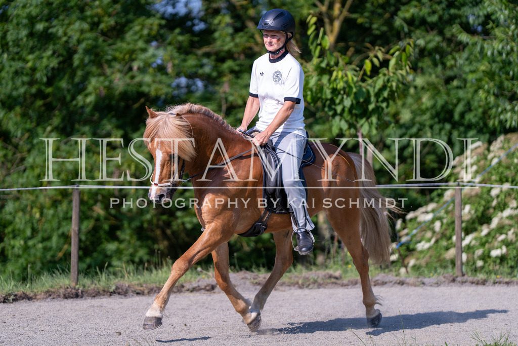 KAI07111 | Ihr sucht einen Fotografen für eure nächste OSI? Ich begleite auch euer Turnier für Islandpferde fotografisch.  - Realisiert mit Pictrs.com