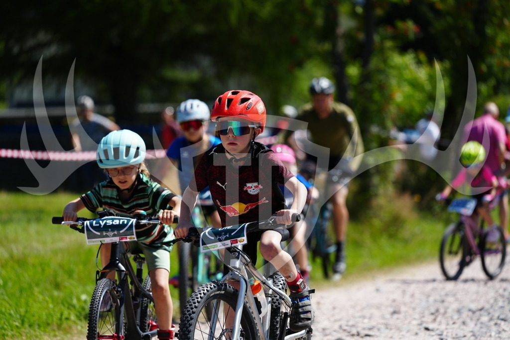 FC101283 | Fotogalerie der Treibjagd im Dunkelwald - Dein MTB Etappenrennen im Erzgebirge - Realisiert mit Pictrs.com