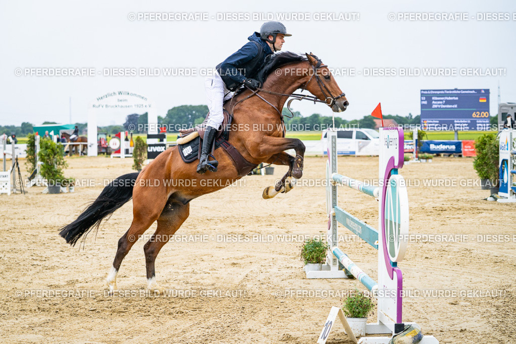 DSC08331 | Pferdegrafie