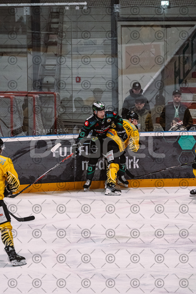 Alligators_vs_Bayreuth_16_01_2026-42 | Höchstadt Alligators Fotogalerie: Eishockey-Action aus Franken. Professionelle Spielfotos, Portraits & Stadionbilder zum Download. Jetzt entdecken! - Realisiert mit Pictrs.com