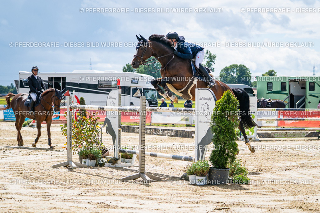 DSC05211 | Pferdegrafie