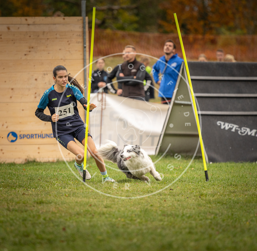 Pfotenfotografie_DV3A6076 | Hundefotografie, Tierfotograf, Pfotenfotografie, Fotoshooting Hund, Hunde Portrait, Hundesport, Hundeportraits, Heideshooting, Hunde, Sportfotograf, Hundefotograf, Turnierhundsport, THS,  - Realisiert mit Pictrs.com
