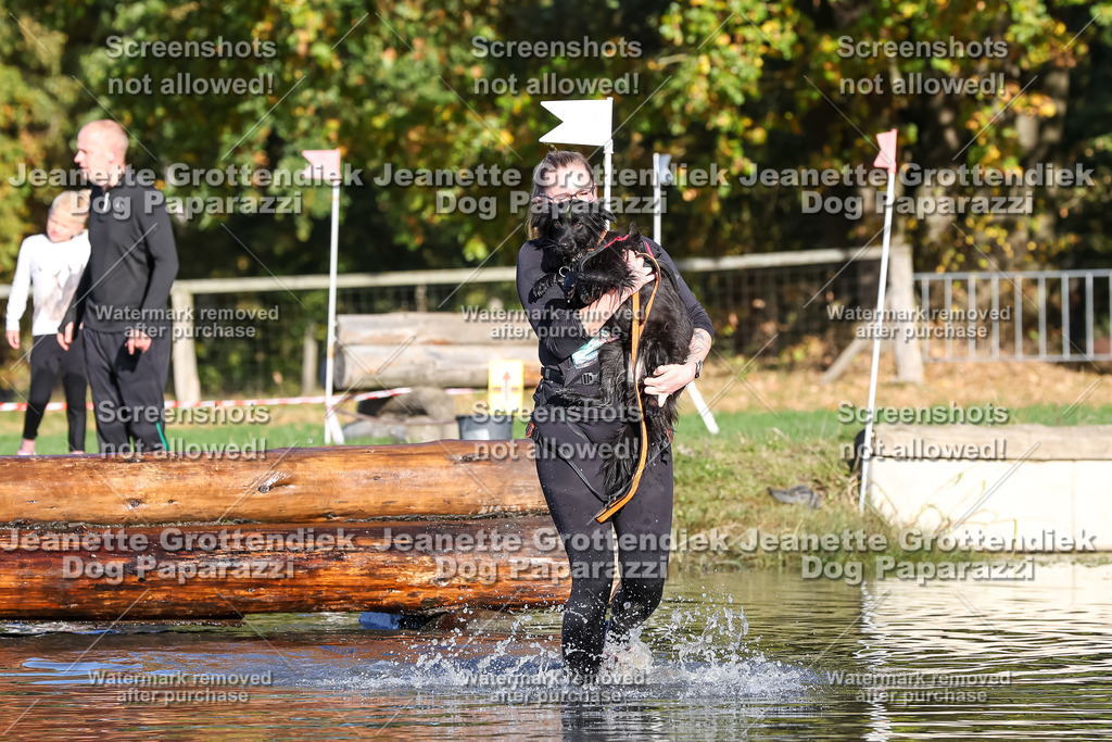 Dog Paparazzi - Strongdog 10-25-8695 | Dog Paparazzi Jeanette Grottendiek Fotografie & Videografie - Realisiert mit Pictrs.com