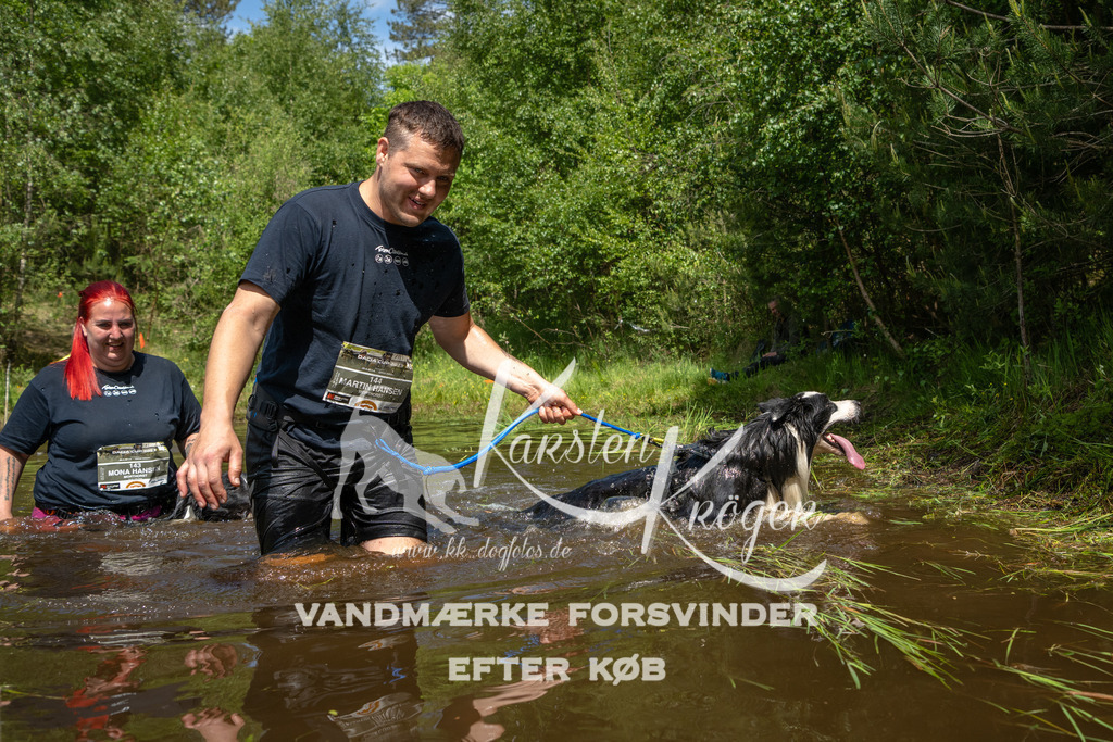 1213DKK992233 | kk-dogfotos