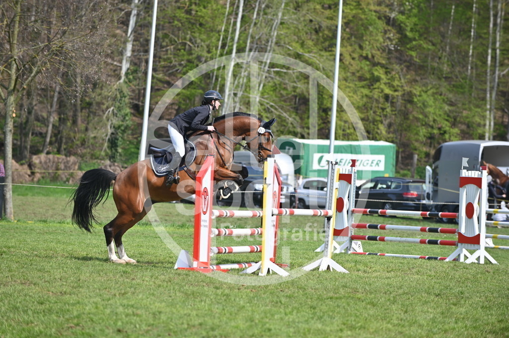 DSC_1246 | sattelsport - Realisiert mit Pictrs.com