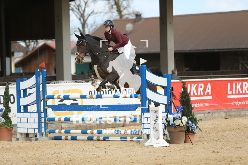 DL2Q8896 | Willkommen bei Brunnmayr - Design & Fotografie – Ihrem Spezialisten für Reitturniere und Pferdeveranstaltungen in Oberösterreich, Salzburg und Bayern! Seit über 17 Jahren sind wir leidenschaftlich dabei.