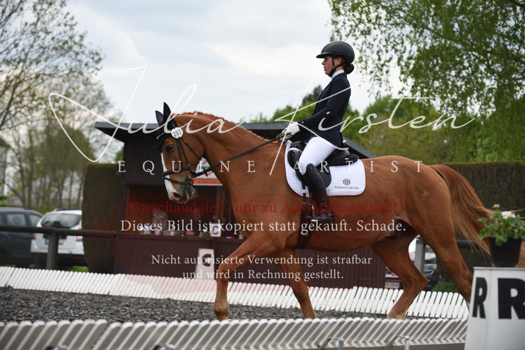 20230513_JK-Röhrsdorf-16-168 | Pferde- und Turnierfotografie in Westsachsen. Pferdeportraits, Auftragszeichnungen und intuitive Kunst.