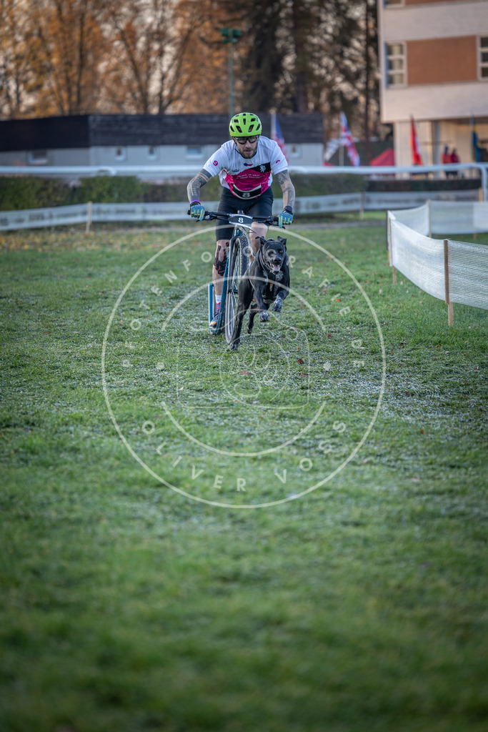 CaniXpix_0L8A1110 | Hundefotografie, Tierfotograf, Pfotenfotografie, Fotoshooting Hund, Hunde Portrait, Hundesport, Hundeportraits, Heideshooting, Hunde, Sportfotograf, Hundefotograf, Turnierhundsport, THS,  - Realisiert mit Pictrs.com