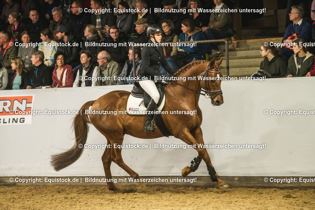 20240302_Hengstvorstellung_Marbach_TOMsPiC_1363-2 | equistock