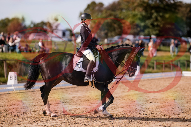 2026_10_03_Siefer-Hof_121428_Z81_16603801 | Professionelle Reitsport-, Turnier- und Eventfotografie von Robert Broda. Galerien mit ausgewählten und bearbeiteten Bildern direkt online ansehen und bestellen.