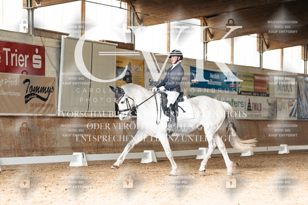CK902564 | Turnierfotografie Pferdefotografie Trier Rheinland-Pfalz Pferdesport Reitsport Tierfotografie Sportfotografie Pferdevideo Pferdevideografie Equestrianvideography equestrianphotography  - Realisiert mit Pictrs.com
