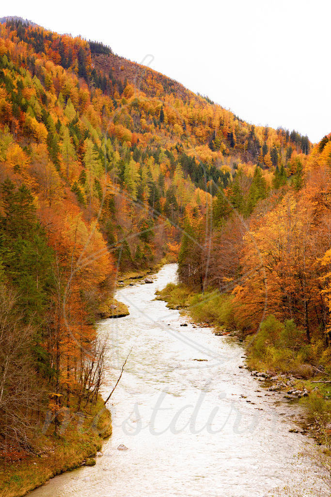 Herbst an der Salza | Ihre Fotografin im Lungau, ihre Fotografin im Mostviertel, Wandbilder Onlineshop, Imagefotos für Ihr Unternehmen,  - Realisiert mit Pictrs.com