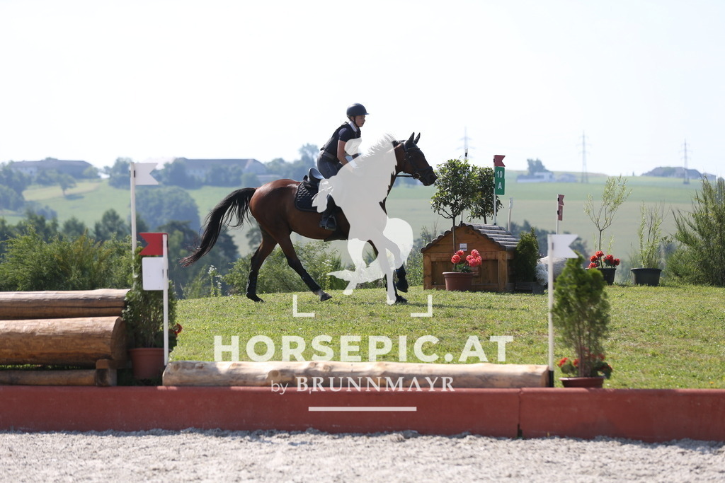 DL2Q1561 | Willkommen bei Brunnmayr - Design & Fotografie – Ihrem Spezialisten für Reitturniere und Pferdeveranstaltungen in Oberösterreich, Salzburg und Bayern! Seit über 17 Jahren sind wir leidenschaftlich dabei.