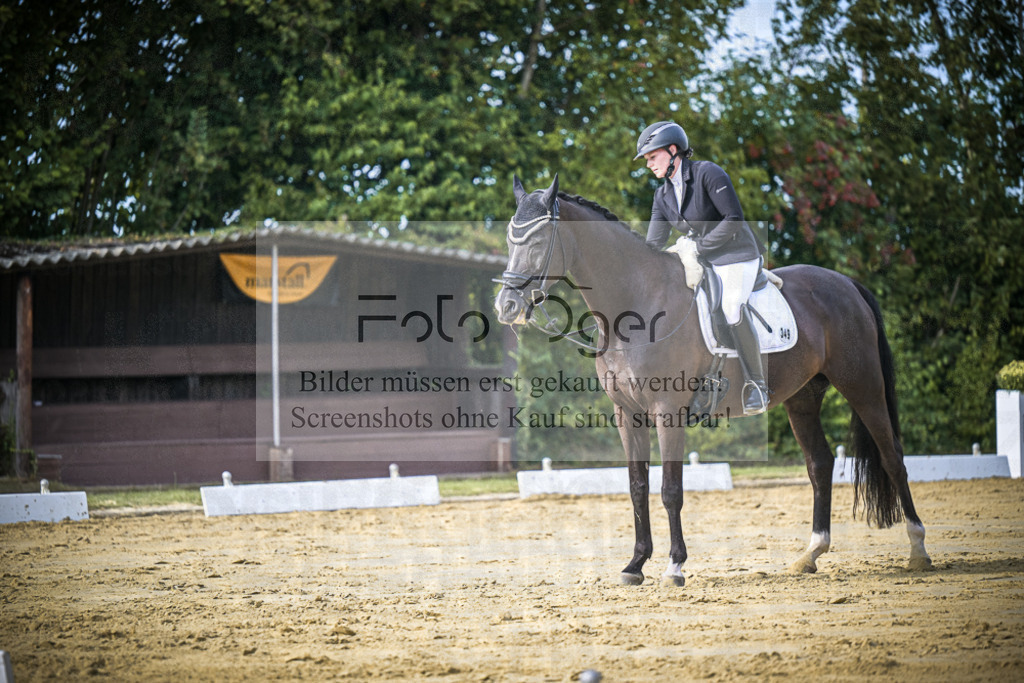 DOS_7999 | Entdecke hochwertige Reitturnierfotos von Foto Oger. Professionell, emotional und authentisch – jetzt Lieblingsmomente im Shop bestellen.Deutschlandweite Turnierfotografie. - Realisiert mit Pictrs.com