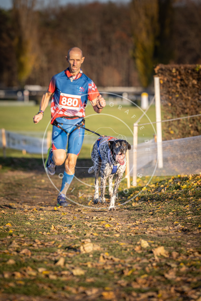 CaniXpix_DV3A4314 | Hundefotografie, Tierfotograf, Pfotenfotografie, Fotoshooting Hund, Hunde Portrait, Hundesport, Hundeportraits, Heideshooting, Hunde, Sportfotograf, Hundefotograf, Turnierhundsport, THS,  - Realisiert mit Pictrs.com