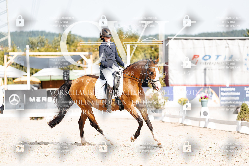 CK905390 | Turnierfotografie Pferdefotografie Trier Rheinland-Pfalz Pferdesport Reitsport Tierfotografie Sportfotografie Pferdevideo Pferdevideografie Equestrianvideography equestrianphotography  - Realisiert mit Pictrs.com