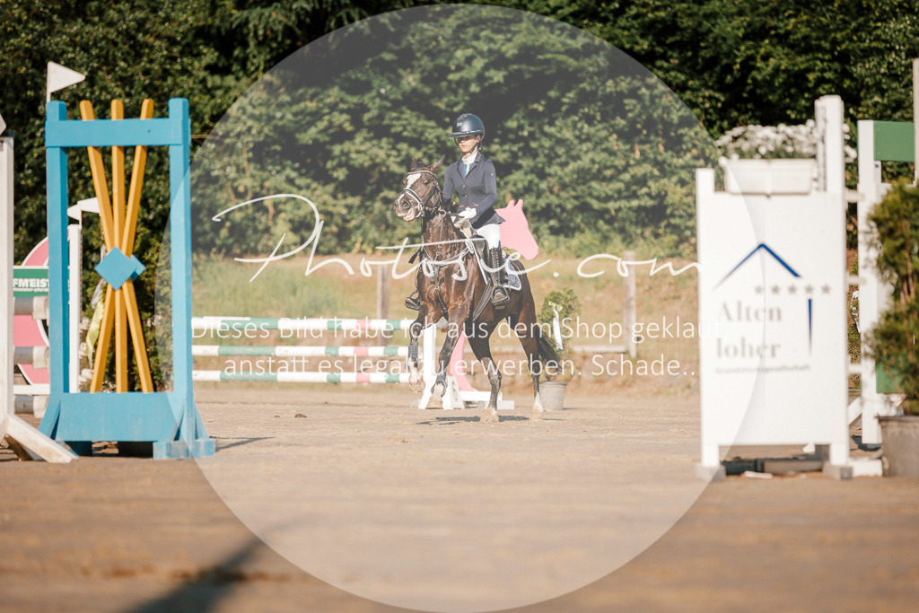 3I6A6121 | Stimmungsvolle Portraits und Reitsportfotografie im Ruhrgebiet und im Münsterland.

Pferdefotografie, Hundefotografie, Tierfotografie, Reportagen, Portraits von Tier und Mensch, Turnierfotografie in Bochum, Recklinghausen, Marl, Haltern am See, Dülmen.. - Realisiert mit Pictrs.com