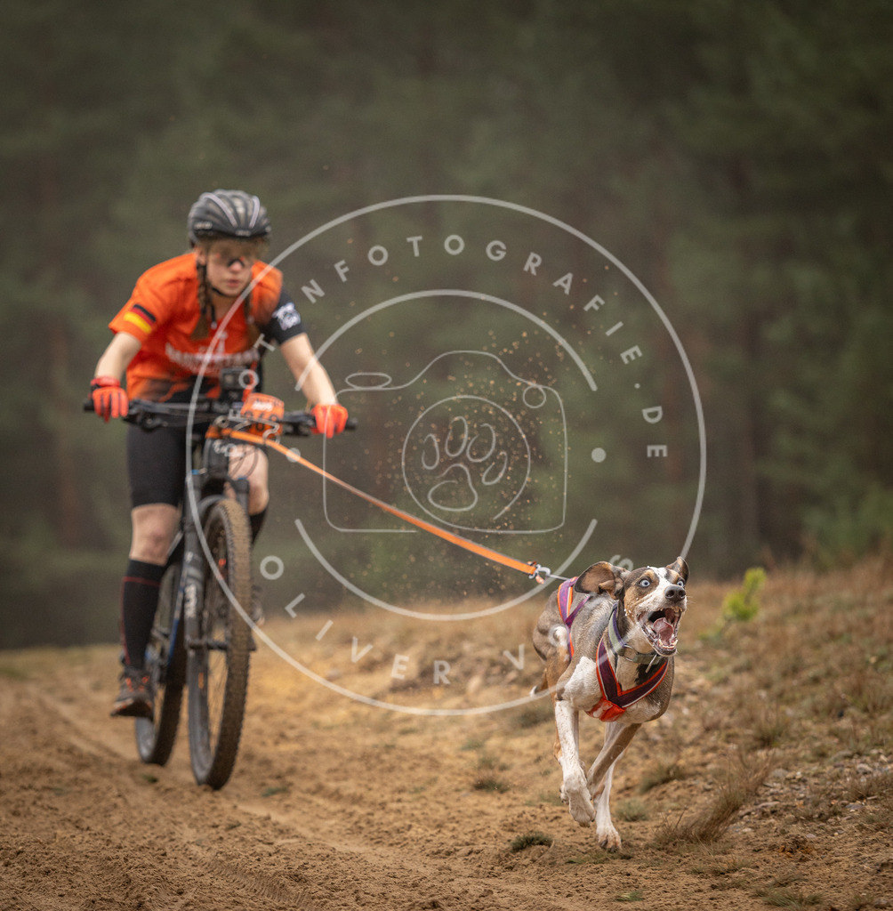 Pfotenfotografie_DV3A2552 | Hundefotografie, Tierfotograf, Pfotenfotografie, Fotoshooting Hund, Hunde Portrait, Hundesport, Hundeportraits, Heideshooting, Hunde, Sportfotograf, Hundefotograf, Turnierhundsport, THS,  - Realisiert mit Pictrs.com